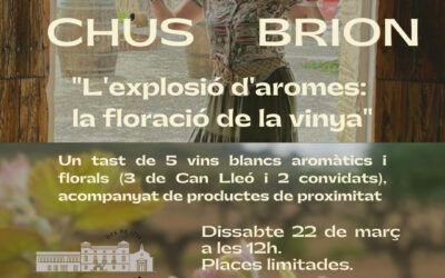 Experiències amb Chus Brion