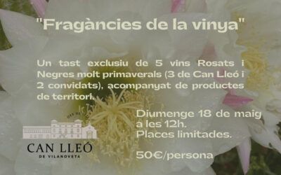 Experiència amb Chus Brion «Fragàncies de la vinya»