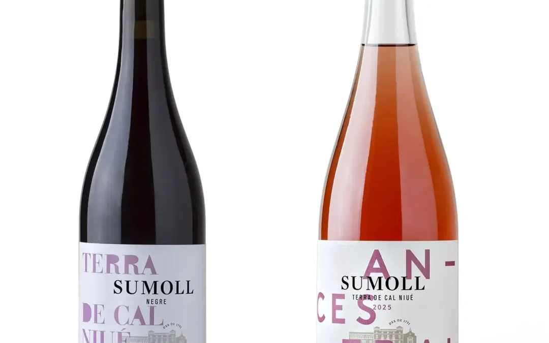 In 2025, we bring back SUMOLL at Can Lleó with two new wines: SUMOLL TERRA CAL NIUÉ and ANCESTRAL SUMOLL