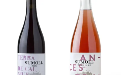Al 2025 recuperem la SUMOLL a Can LLeó amb dos vins nous: SUMOLL TERRA CAL NIUÉ i ANCESTRAL SUMOLL.