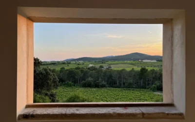 Nova sala de tast a Can Lleó